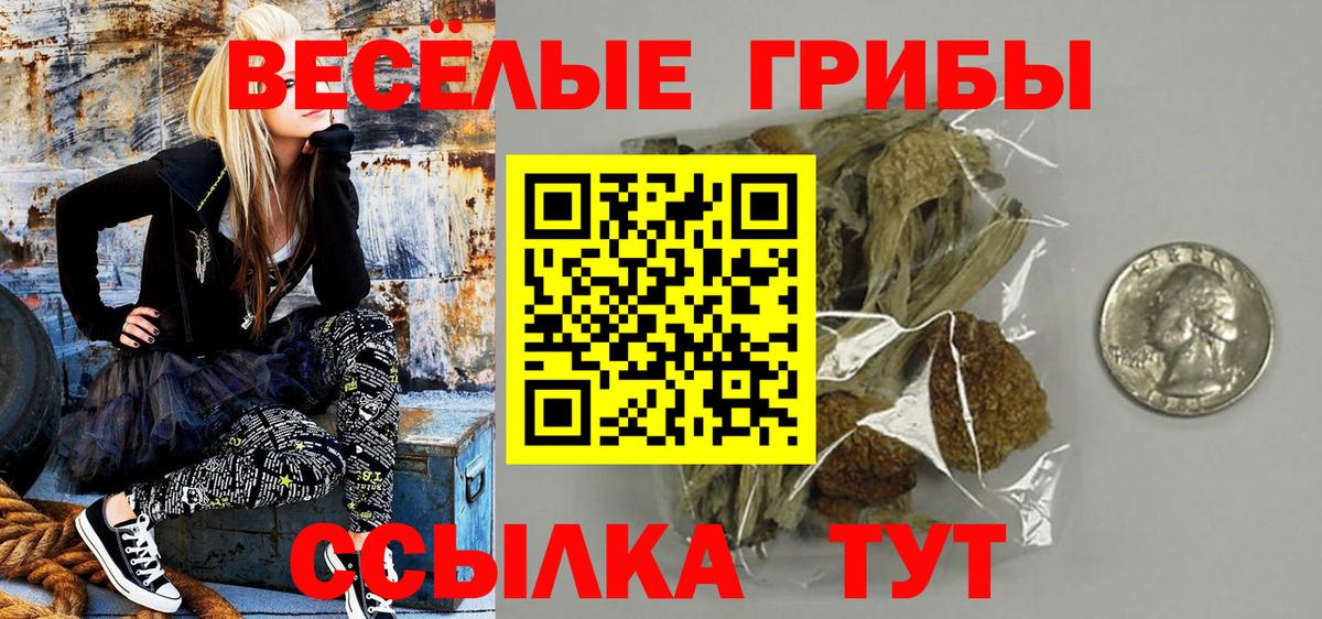 Отрадный  Псилоцибиновые грибы мухоморы  Вход с VPN 